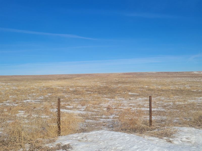 Quality Western NE Grassland : Kimball : Kimball County : Nebraska