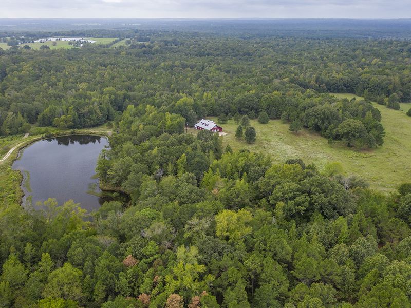 Wood & Smith County Land Auction : Tyler : Smith County : Texas