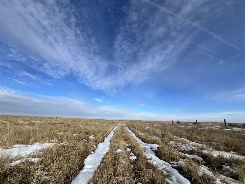 Rober Family Enterprises Pasture : Haxtun : Logan County : Colorado