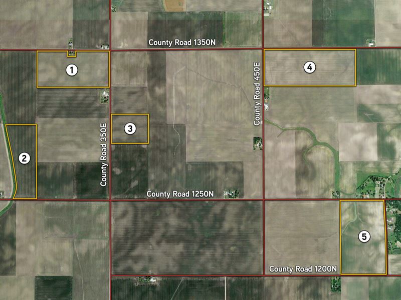 Douglas County, IL Farmland Auction : Tuscola : Douglas County : Illinois