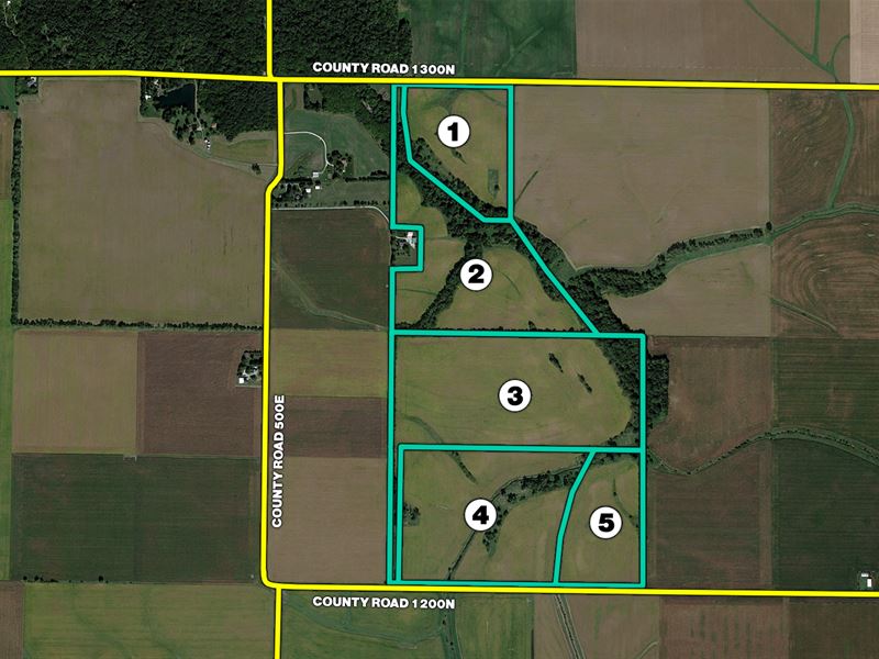 Piatt County, IL Farmland Auction : Monticello : Piatt County : Illinois