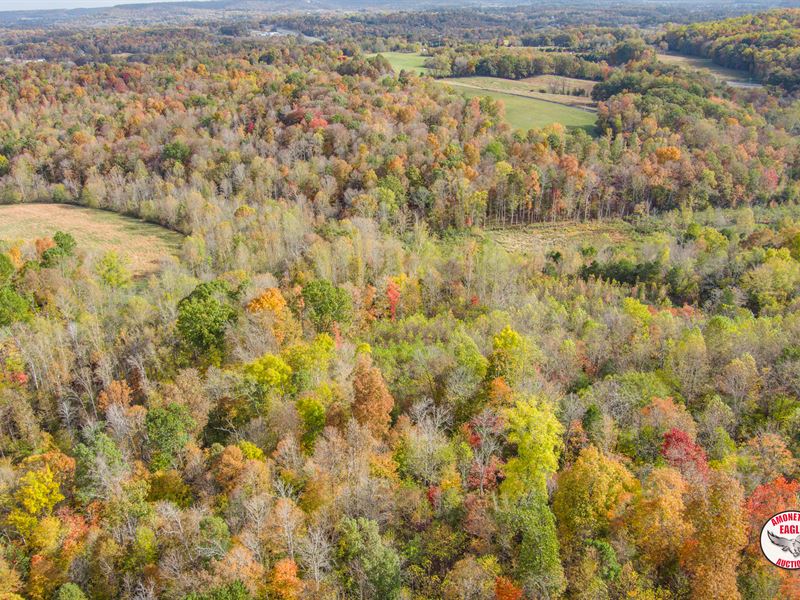 47.12+/- Acres : Livingston : Overton County : Tennessee