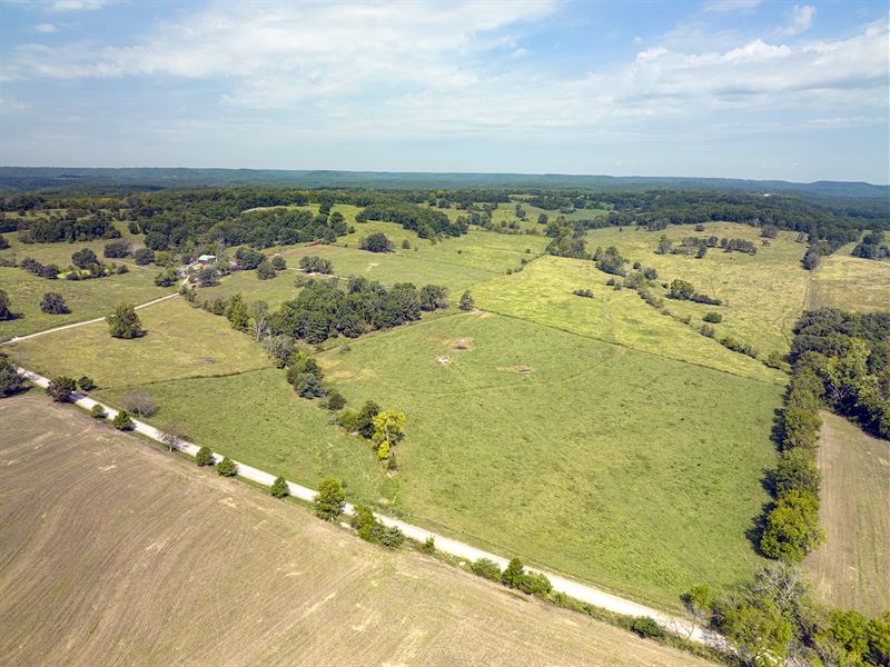 Douglas County, MO Land Auction : Ava : Douglas County : Missouri