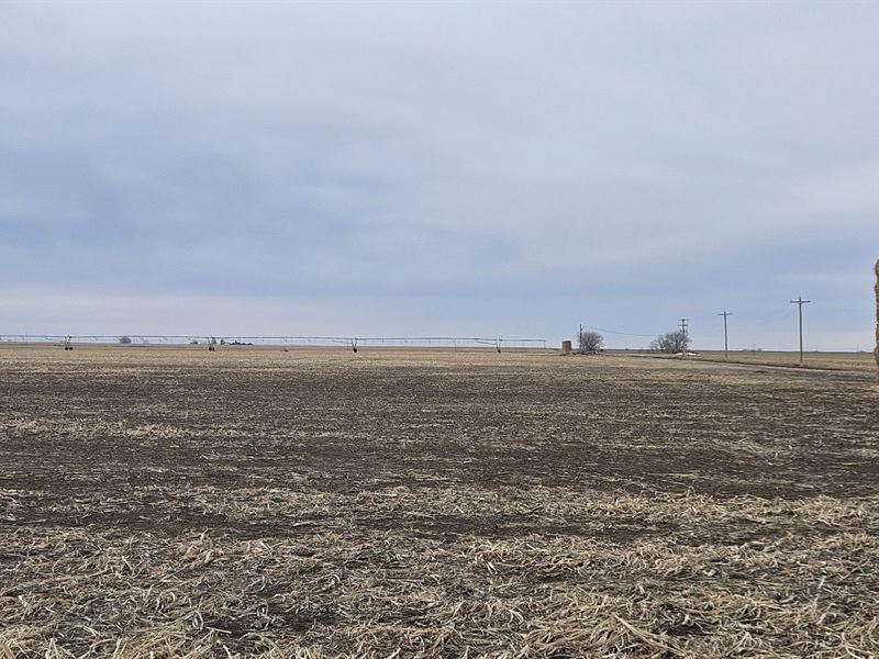 Double W Irrigated Farm Auction : Holyoke : Phillips County : Colorado