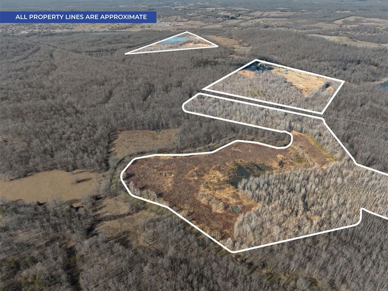 Your Dream Hunting Retreat : Dawson Springs : Hopkins County : Kentucky