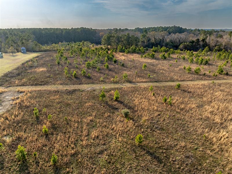 Sportsmen's Paradise : Moultrie : Colquitt County : Georgia