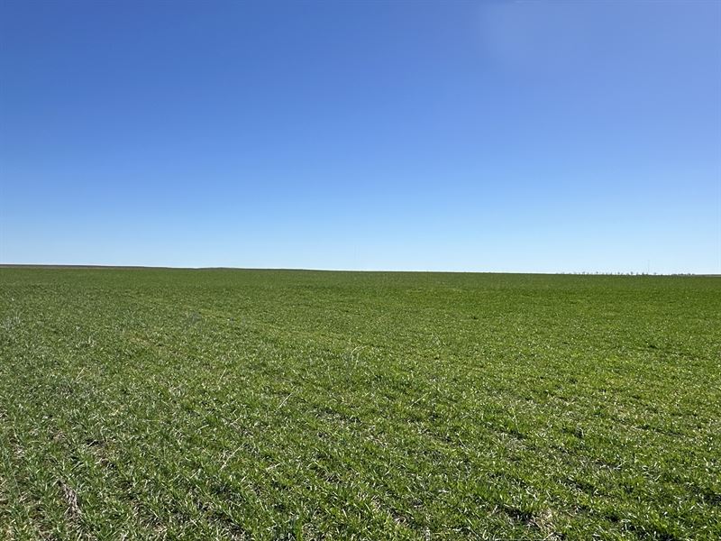 560 Acres of Productive Farmland : Corn : Washita County : Oklahoma