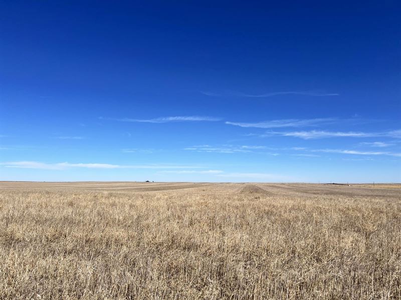 Beulah Maggard Estate Land Auction : Otis : Washington County : Colorado