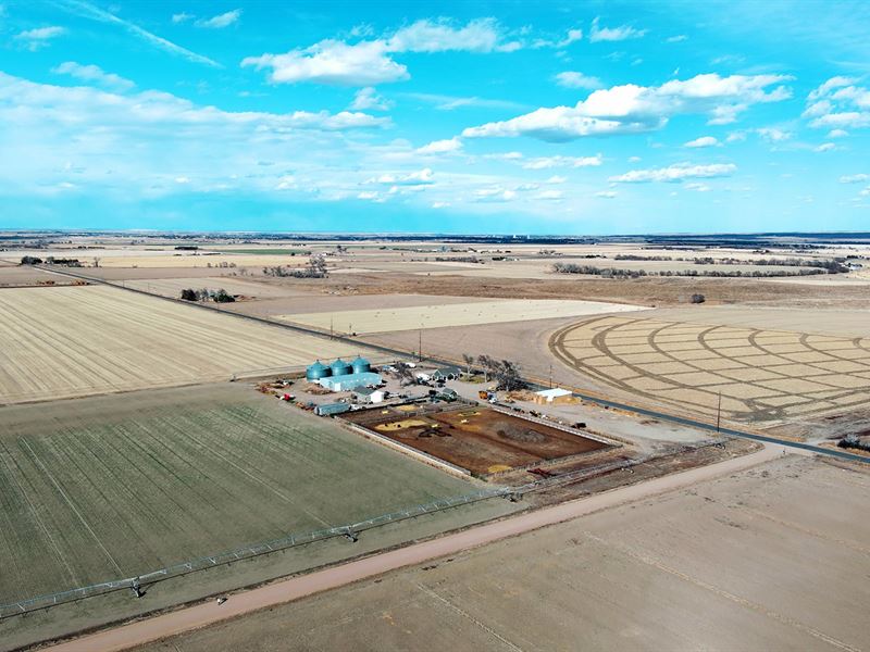 Atwood Sprinkler Irrigated Land Auc : Atwood : Logan County : Colorado
