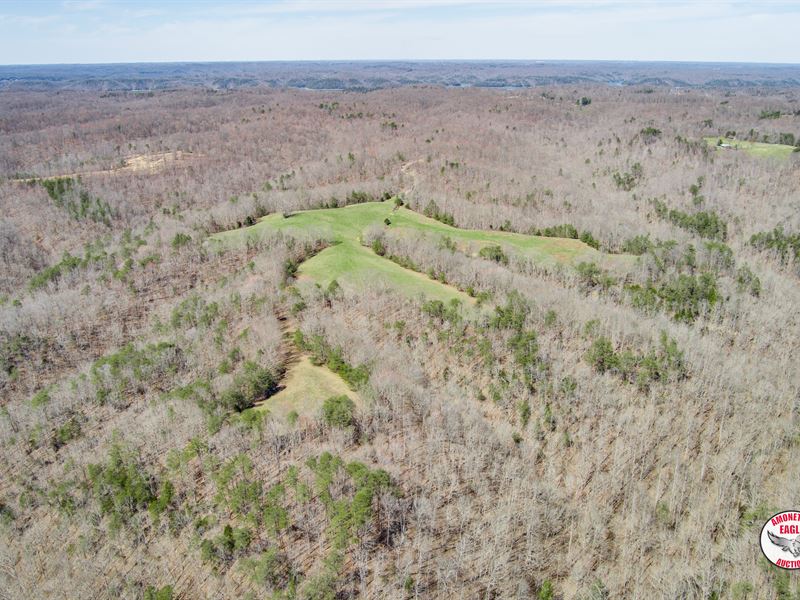 51+/- Acres Near Marina at Rowena : Albany : Clinton County : Kentucky