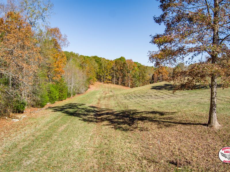 75+/- Acres : Ten Mile : Meigs County : Tennessee