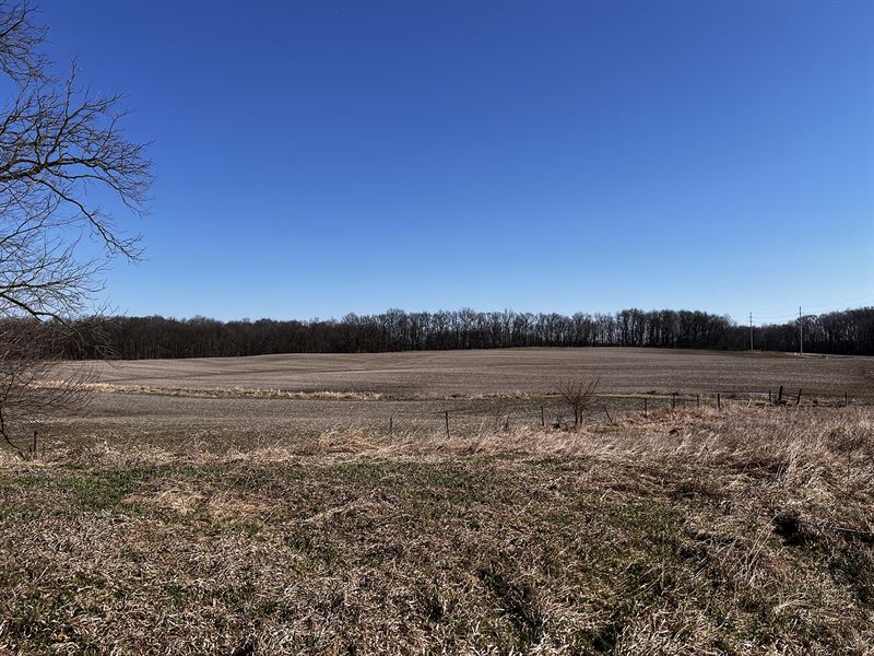 Whitley County, IN Land Auction : Columbia City : Whitley County : Indiana