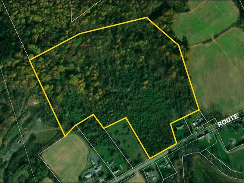 40 Acre Wooded Lot on Rt 57 : Stewartsville : Warren County : New Jersey