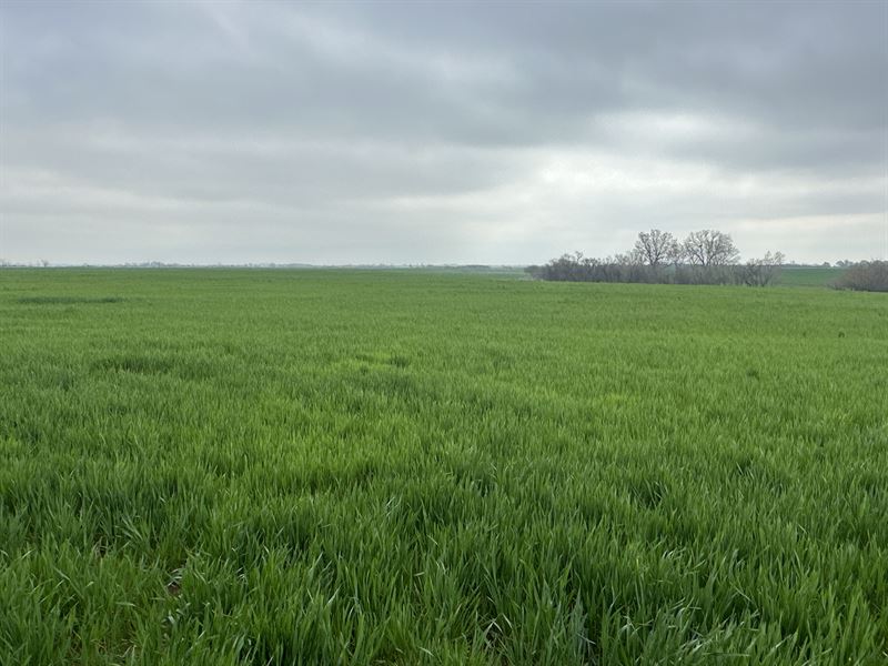 233 Acres of Productive Cropland : Geary : Canadian County : Oklahoma