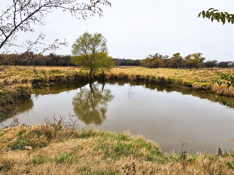 Auction, Osner Sumner County KS : Mayfield : Sumner County : Kansas