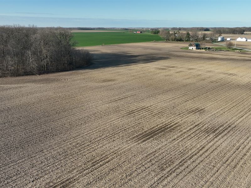 Wells County, IN Land Auction : Bluffton : Wells County : Indiana