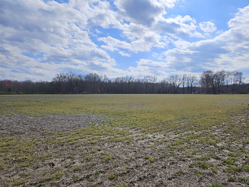 38 Acres with 2 Homes : Goshen : Clermont County : Ohio