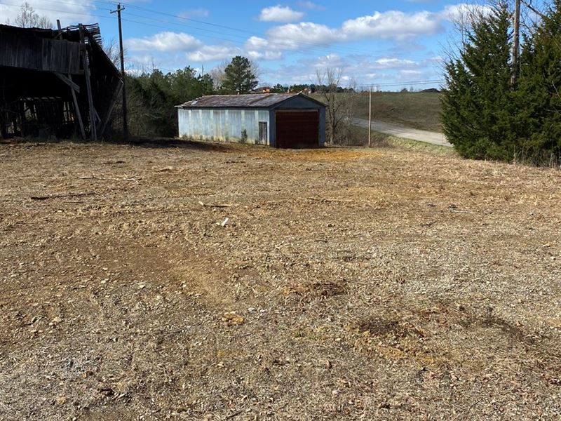 Farm & Timber Land for Sale : Columbia : Adair County : Kentucky