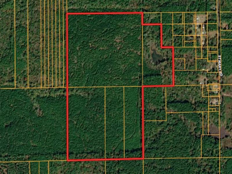 Sportsman's Paradise, Land Auction in Louisiana, 372584 AUCTIONFLIP