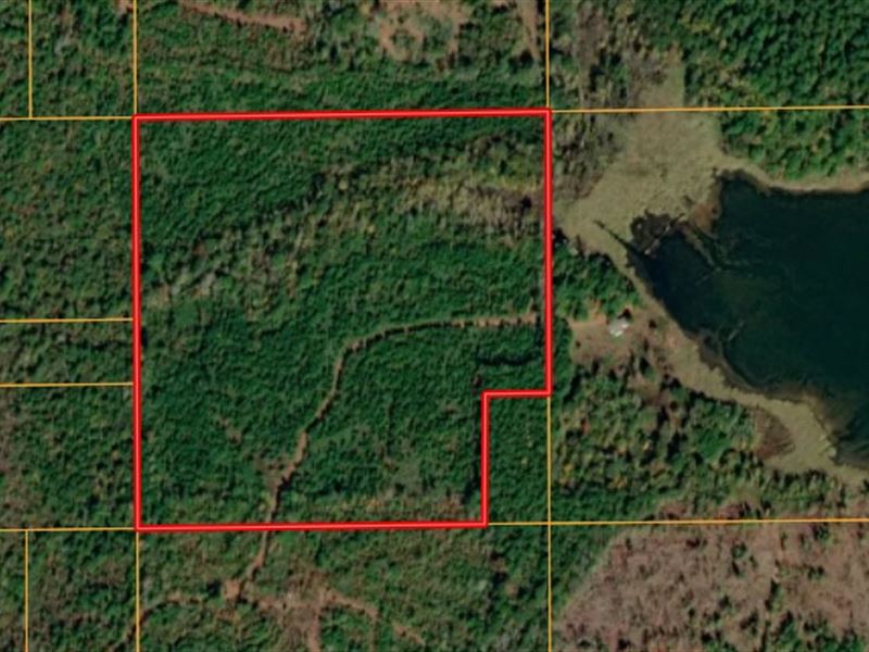 Sportsman's Paradise, Land Auction in Louisiana, 372603 AUCTIONFLIP