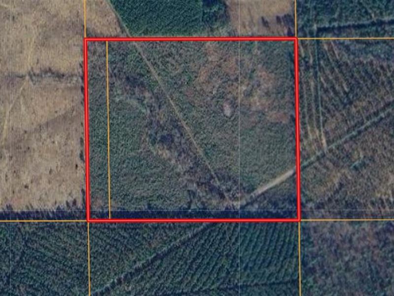 Sportsman's Paradise, Land Auction in Louisiana, 372606 AUCTIONFLIP