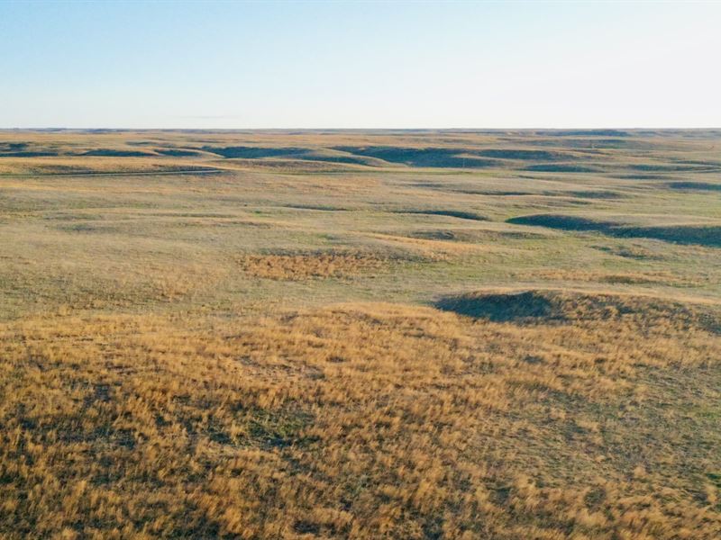 Auction, Haas Half Section : Valentine : Cherry County : Nebraska