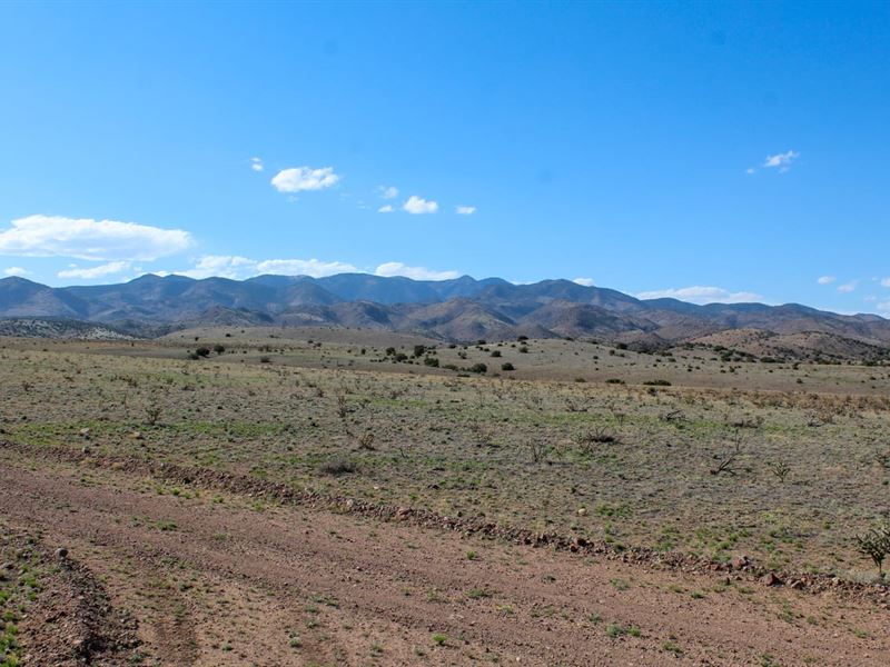 Auction Lot 2A Willow Springs 489 : San Marcial : Socorro County : New Mexico