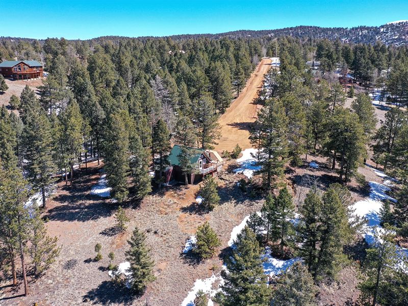 Cabin for Auction in Florissant, CO : Florissant : Teller County : Colorado