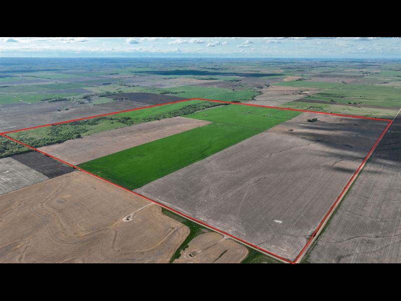 Auction, Ellsworth County Tract 1 : Holyrood : Ellsworth County : Kansas