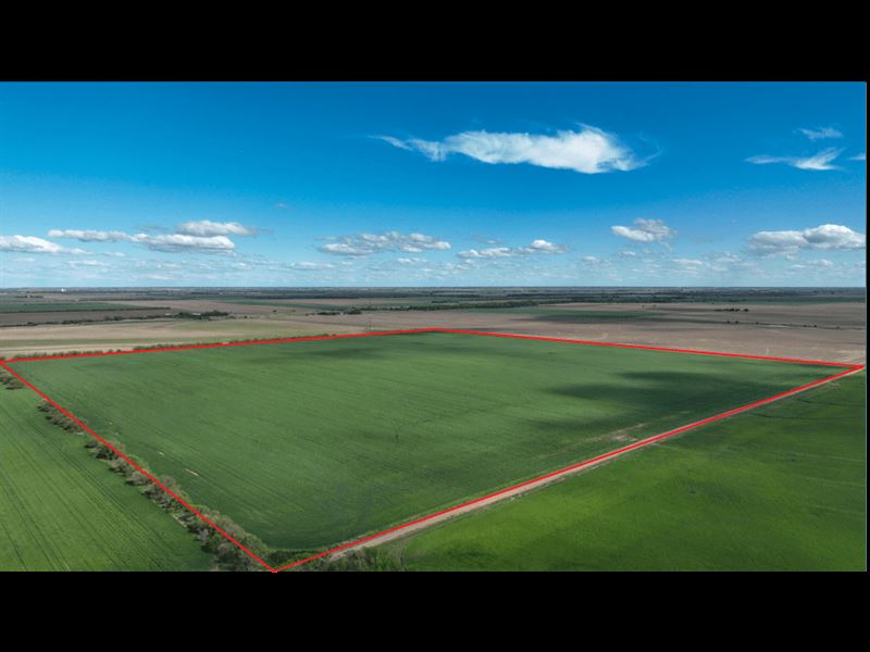 Auction, Ellsworth County Tract 2 : Ellsworth : Ellsworth County : Kansas
