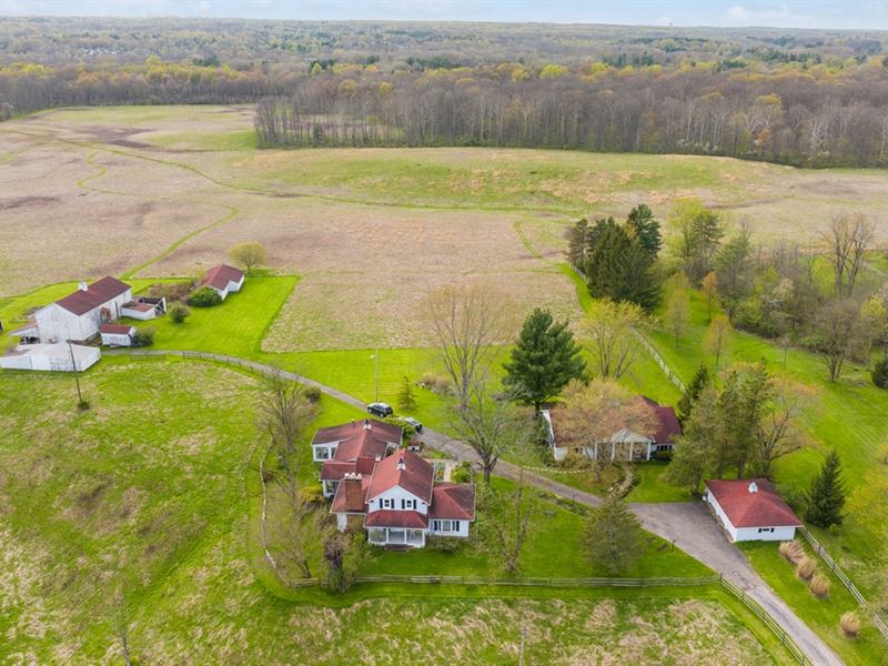 122 Acre Homestead Holdout : North Royalton : Cuyahoga County : Ohio