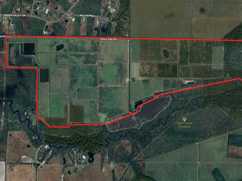 637 Acre Citrus Grove : Punta Gorda : Charlotte County : Florida