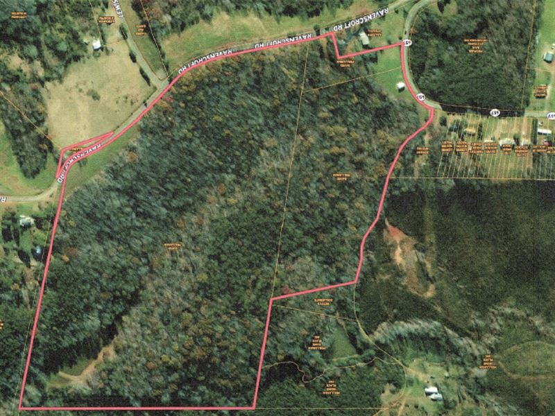 The Estate of David Prillaman : Martinsville : Martinsville City County : Virginia