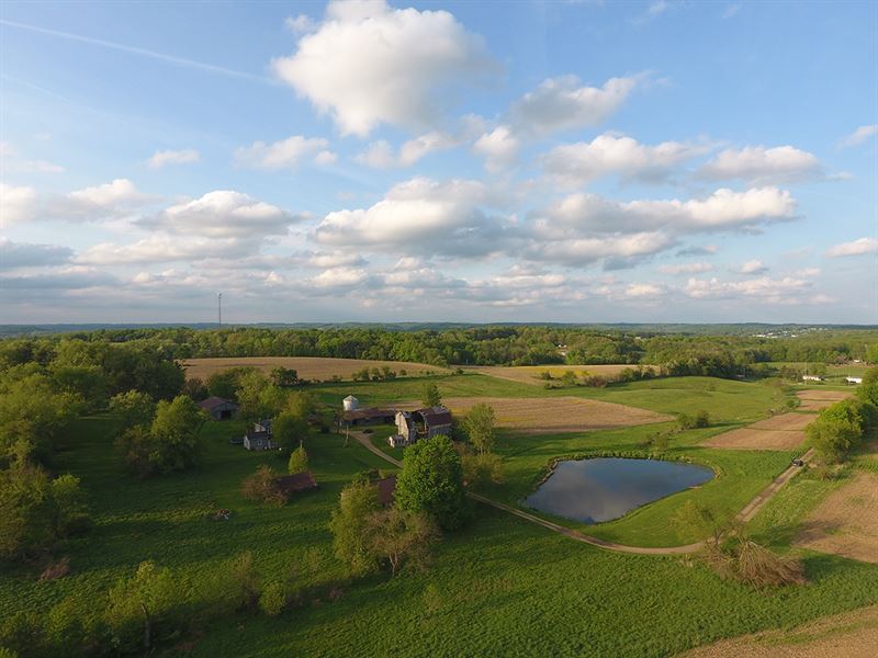 134 Acres Richland County : Bellville : Richland County : Ohio