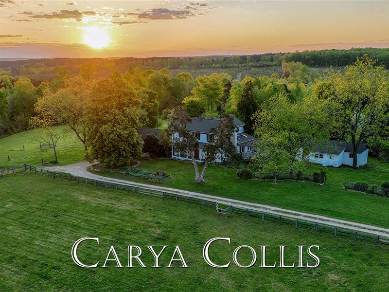 Carya Collis, a 103 Acre Homestead : Red House : Charlotte County : Virginia