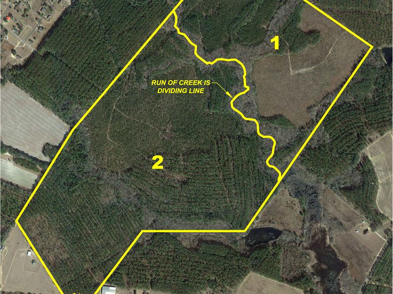 Timberland : Uvalda : Montgomery County : Georgia