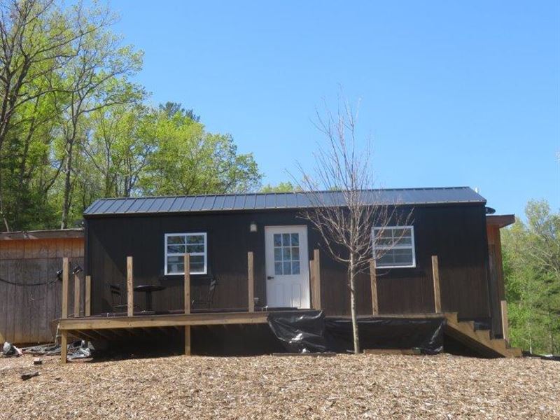 Mushroom Farm : Saluda : Henderson County : North Carolina