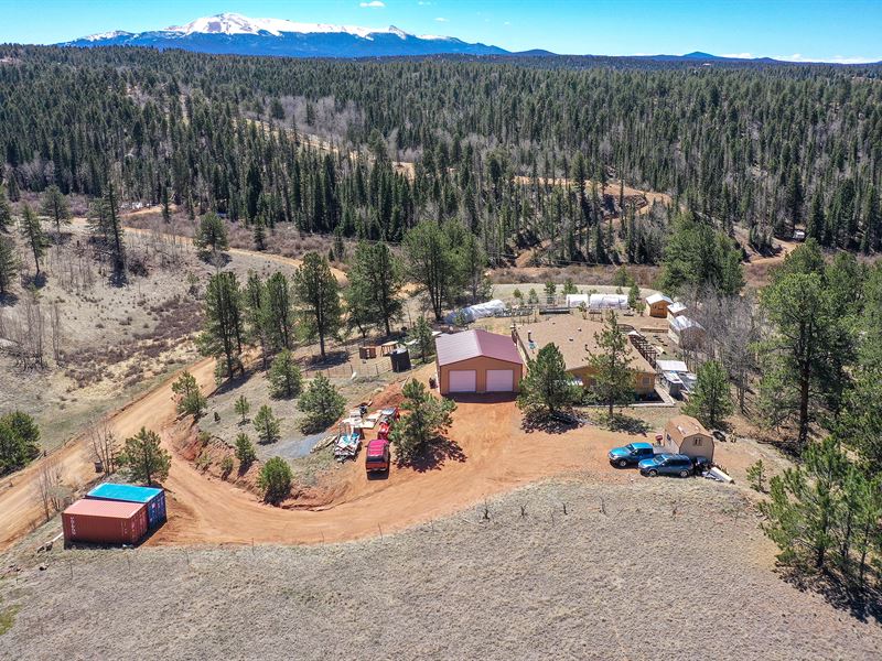 Mountain Home and Land for Sale : Florissant : Teller County : Colorado