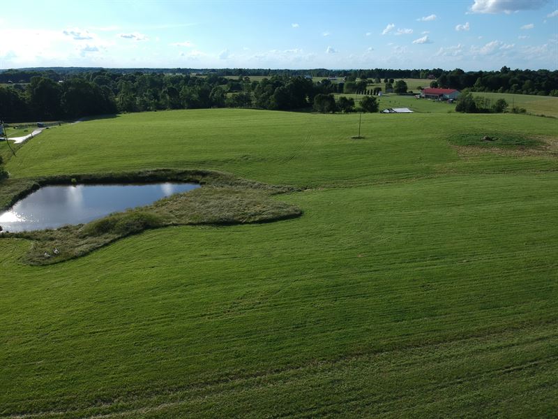 Grassland and Pastureland : Campbellsville : Taylor County : Kentucky
