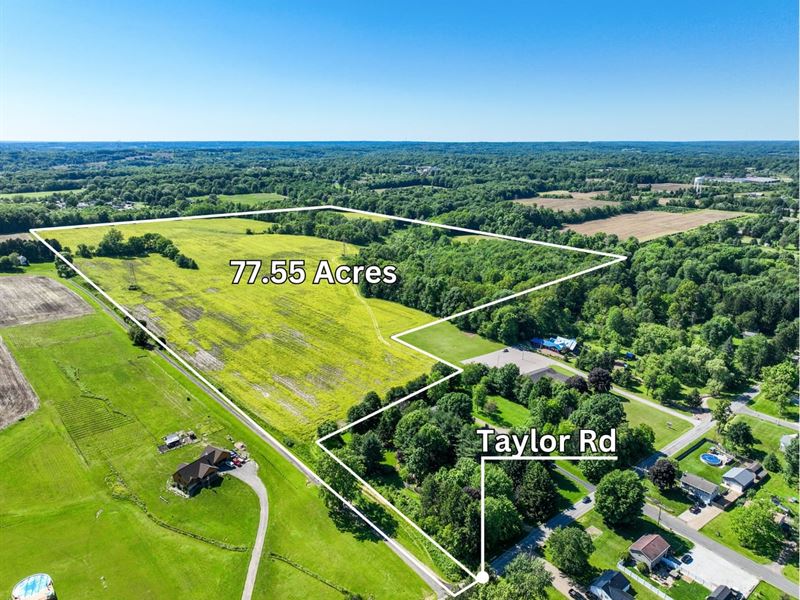 Auction, Taylor Rd, Wayne County : Doylestown : Wayne County : Ohio