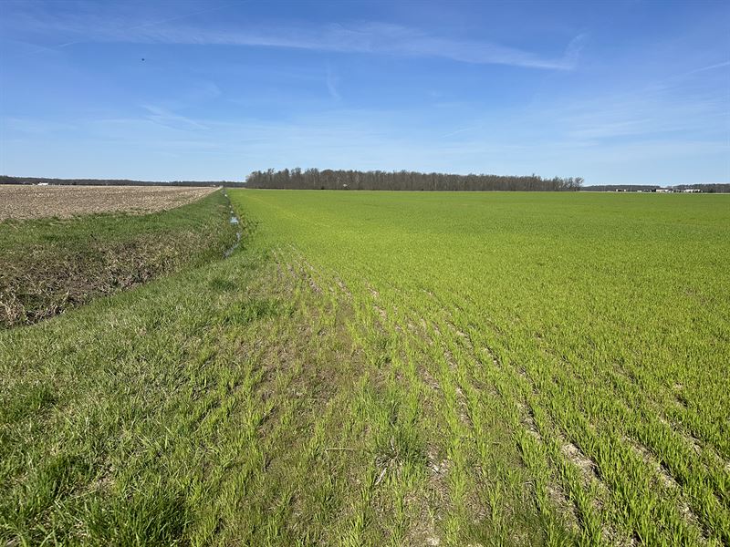 Defiance County, Ohio Land Auction : Defiance : Defiance County : Ohio