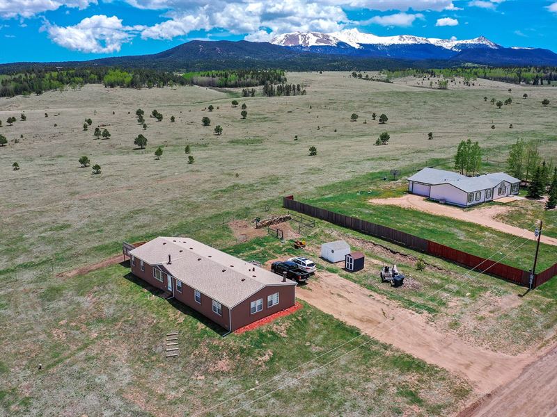 Home for Sale in Divide, Colorado : Divide : Teller County : Colorado