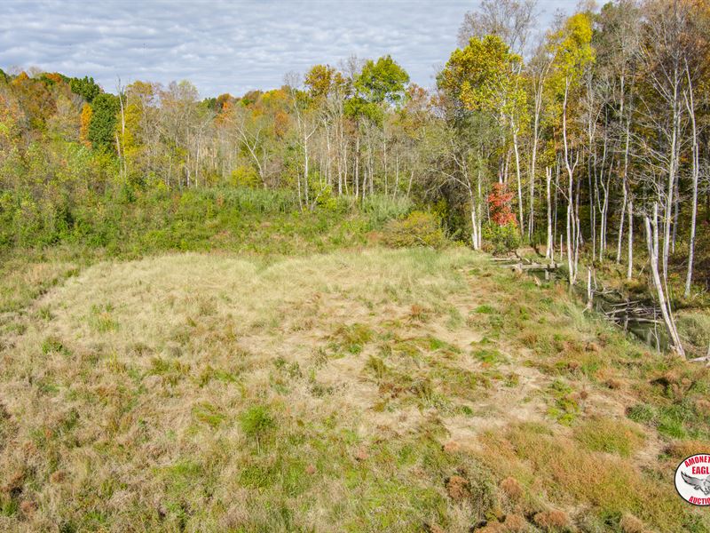 46.84+/- Acres : Livingston : Overton County : Tennessee