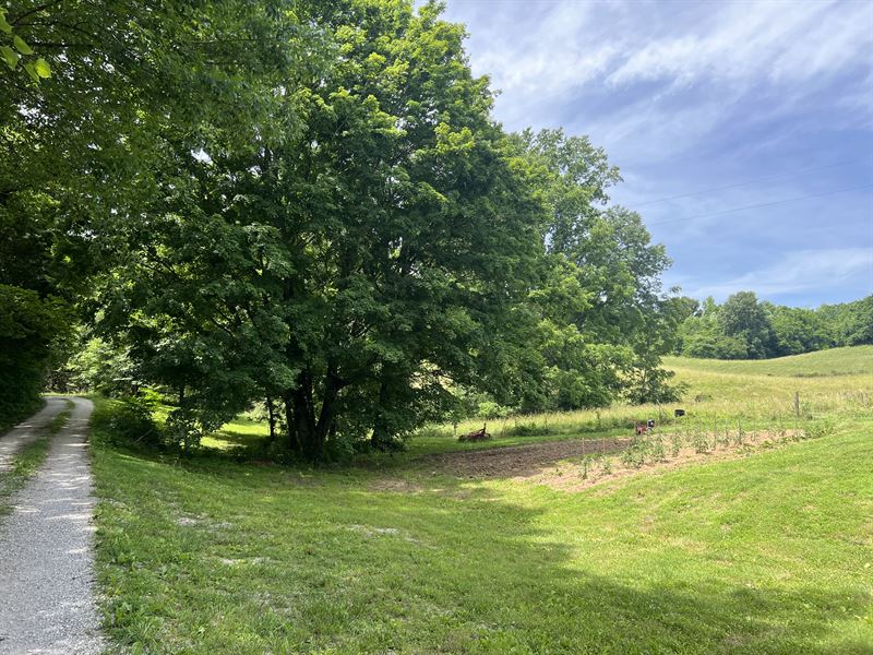 KY Land & Bay Hill RV for Sale : Glasgow : Barren County : Kentucky