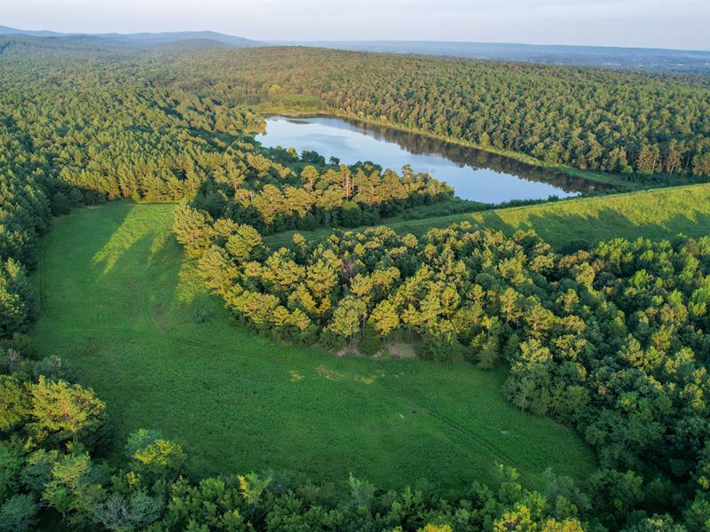 Auction, Mena Timber Multi Tract : Waldron : Scott County : Arkansas