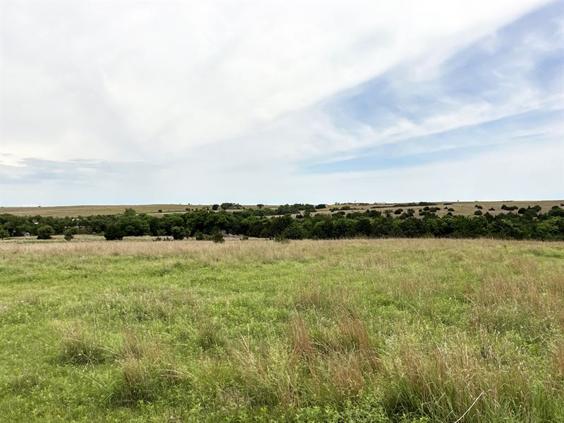 160 Acres of Excellent Grassland : Leedey : Dewey County : Oklahoma