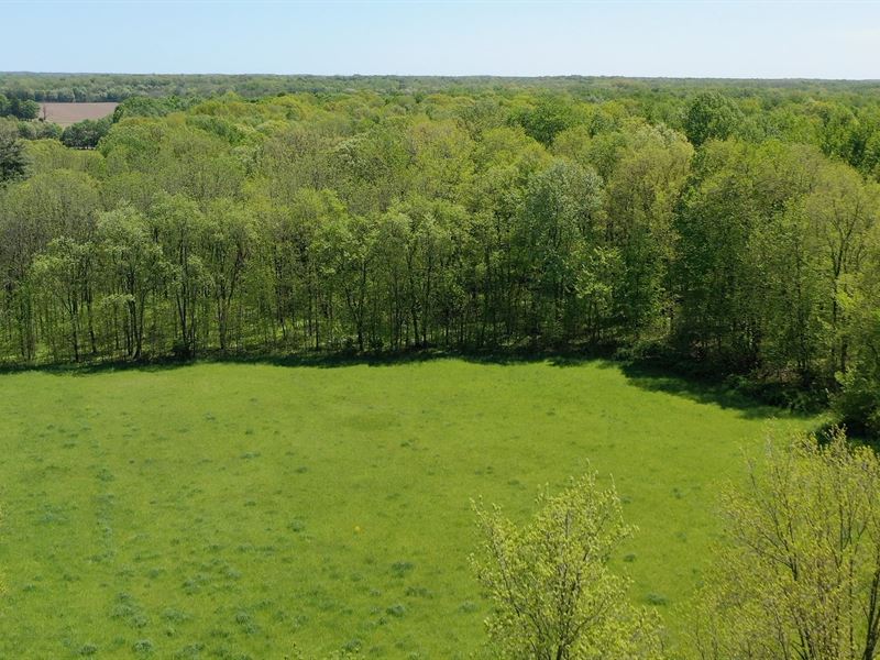 Branch County, MI Land Auction : Quincy : Branch County : Michigan