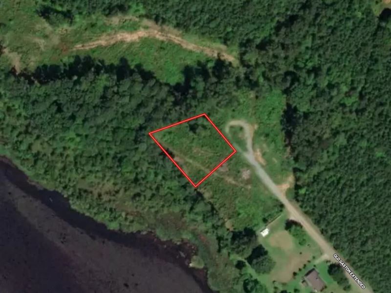.49 Acre Waterfr : Gaston : Northampton County : North Carolina
