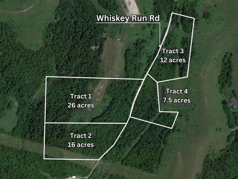Auction, Whiskey Run Rd, Noble Co : Quaker City : Noble County : Ohio