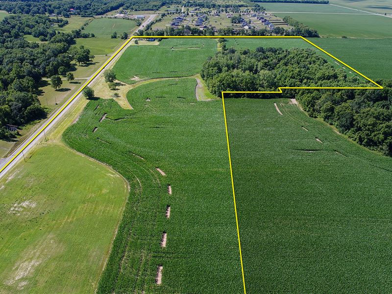 Carroll County, IN Land Auction : Delphi : Carroll County : Indiana